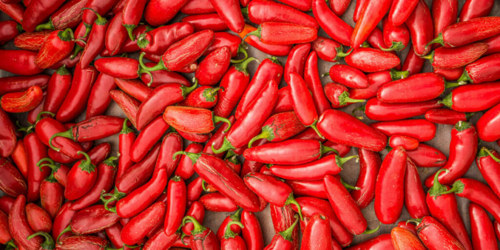 Piros Jalapeno chili