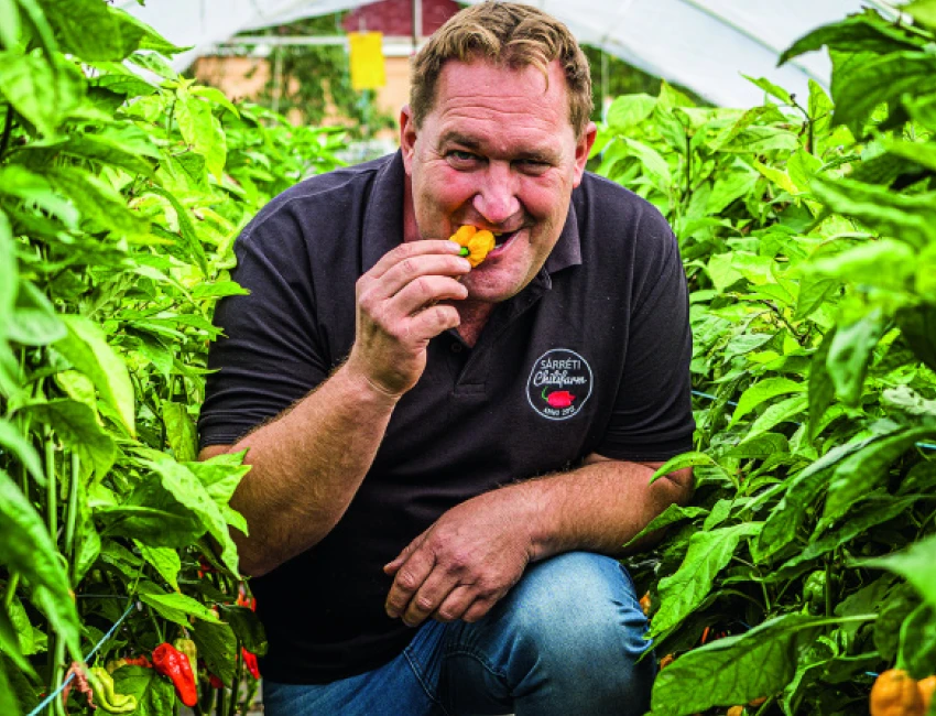 Bogár Sándor a chili termelő chilibe harap